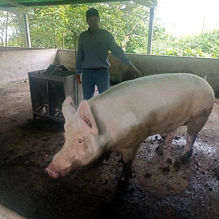 trabajo de campo de pocina 3