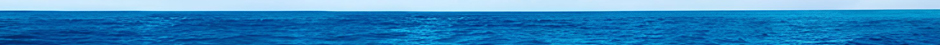 Mar banner UNET