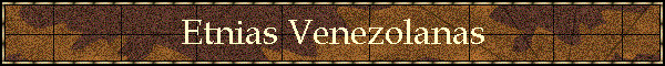 Etnias Venezolanas