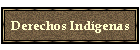 Derechos Indgenas