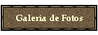 Galera de Fotos
