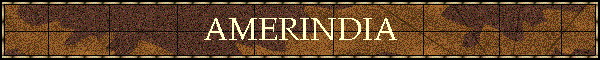 AMERINDIA